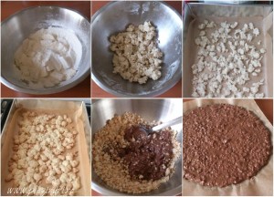 Tort-cu-vanilie-pralina-de-alune-si-ciocolata