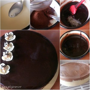 Tort-cu-vanilie-pralina-de-alune-si-ciocolata7