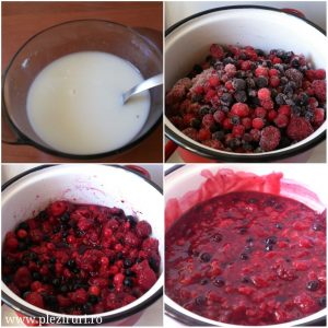 Tort cu fructe de padure si iaurt